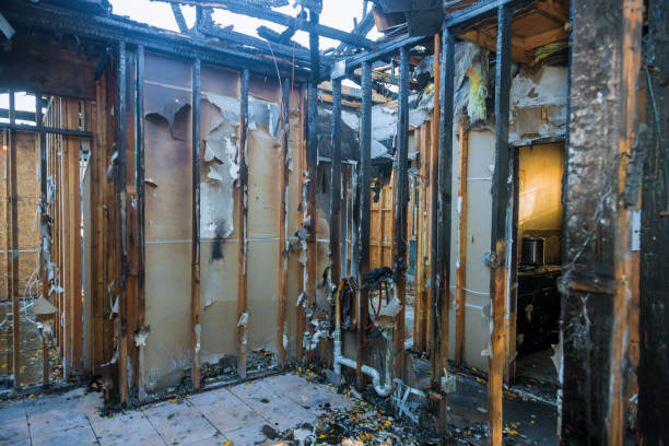 Professional Odor Removal technician working in Benton, IL